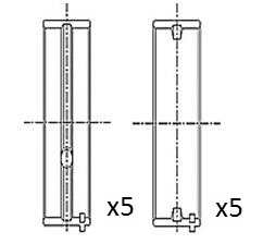 Crankshaft Bearing